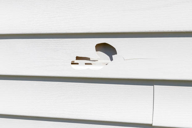 Best Fiber Cement Siding Installation  in Federalsburg, MD