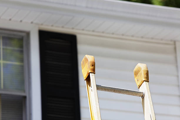 Affordable siding repair and maintenance services in Federalsburg, MD